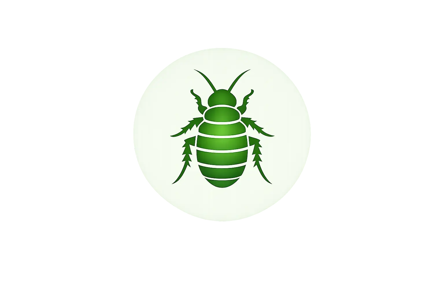 Bed Bug Control