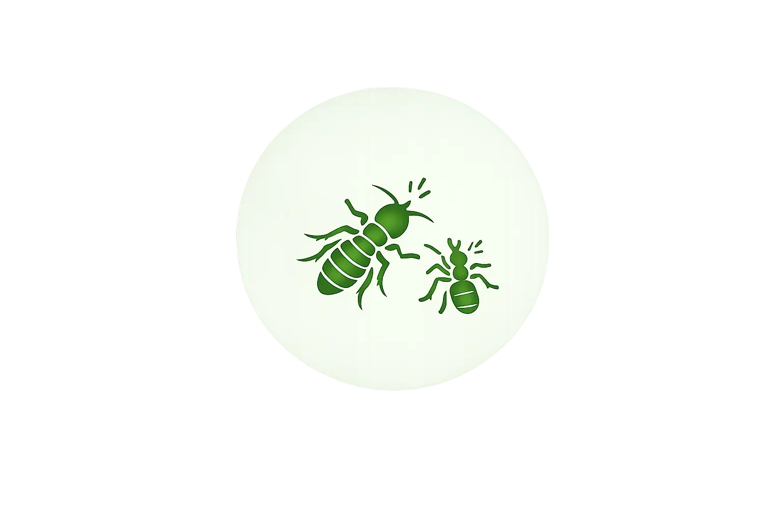 Insects Control